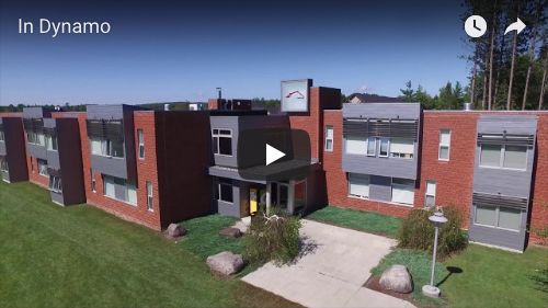 link to youtube in dynamo video